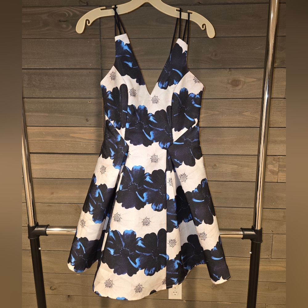 Soieblu Blue and White Floral Dress